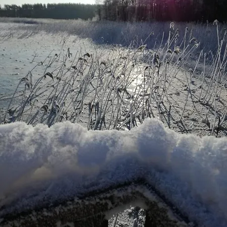 Na Skraju Lasu Zabie