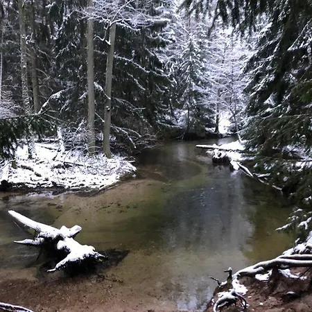 Na Skraju Lasu * Ząbie